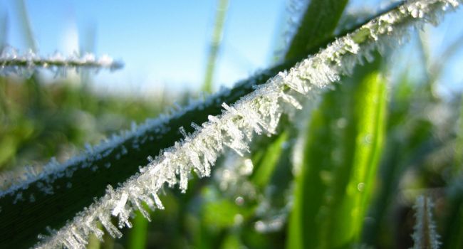  ������� ��������� ������������� ������ ��������� ���������� ������ ��������� 