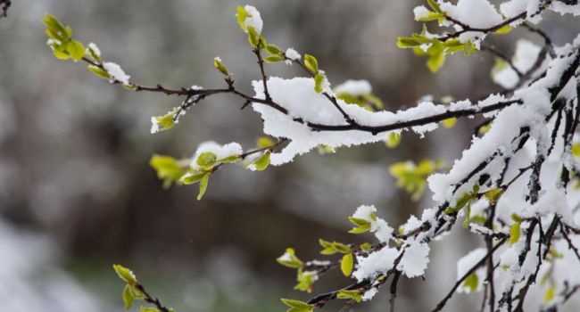  ��������� ����� ������ ������ �������� ������ ��������� ����� 