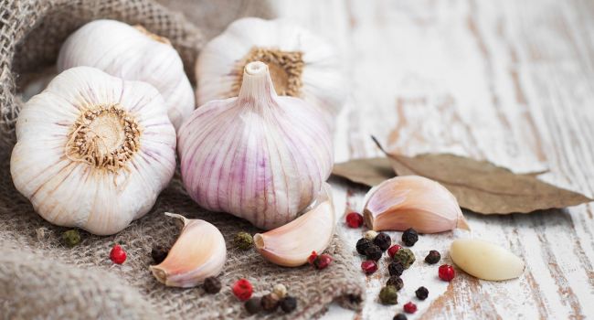  ������� ������ ����� �������� ������� ����� �������� �������� 