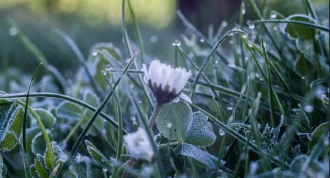  ����������� ���� ����� �������� ��������� ������ ��� 