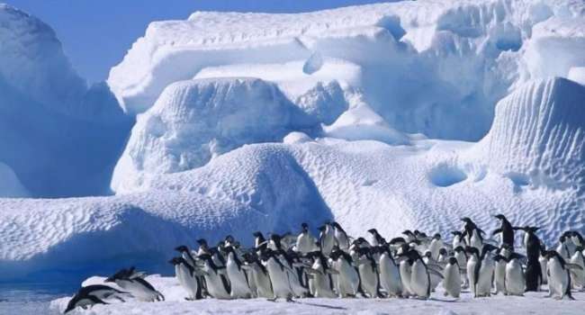  �������� ���������� ������ ���������� ���������� ������ 