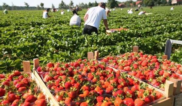  ������� ���� �������� ������ ������ ��������� ��������� ������ 