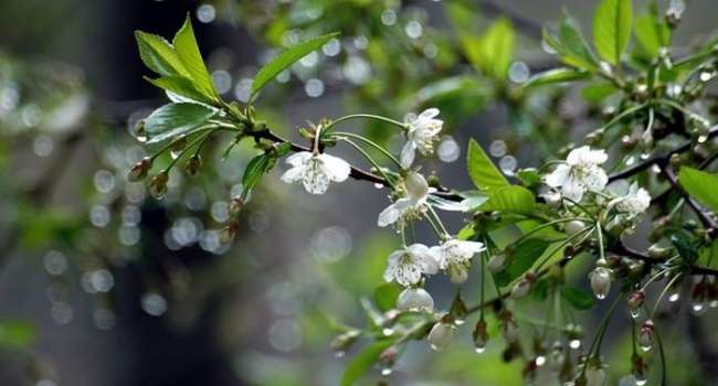  ����� ������ ����� ��������� ���������� ������ ��������� ��� 