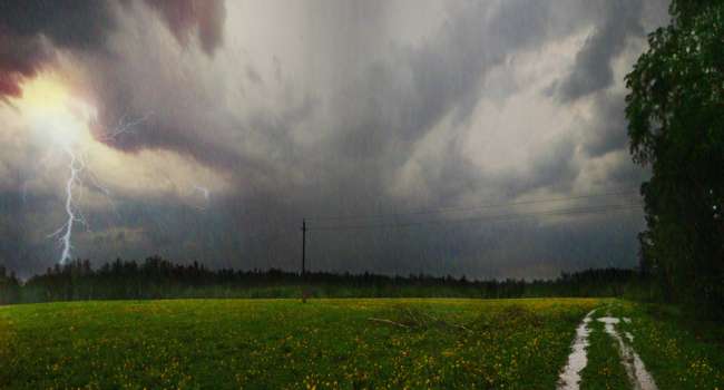  ����� ������� ����������� ������ �������� ���������� ������ ��������� 