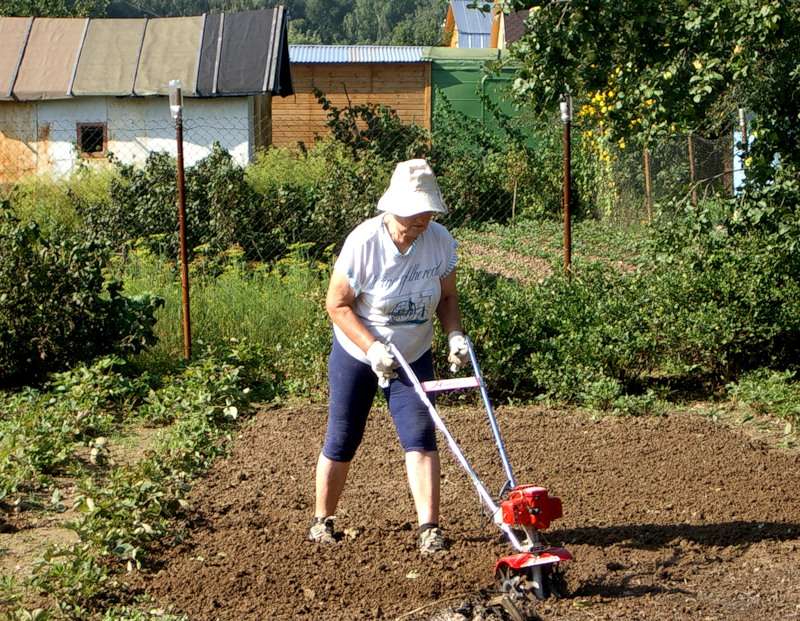 «Не спешите, вы успеете»: известный садовод рассказала о дачных работах