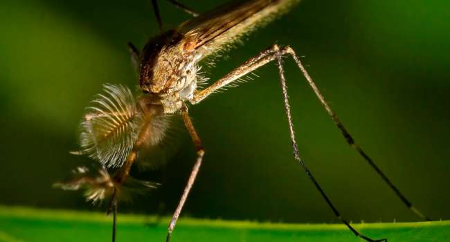  ����� ���������� �������� ���������� ����������� ������ ������� ��������� 