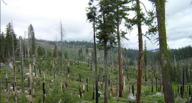  ������� ������ ������� ������������ ��������� ���������� ��������� 