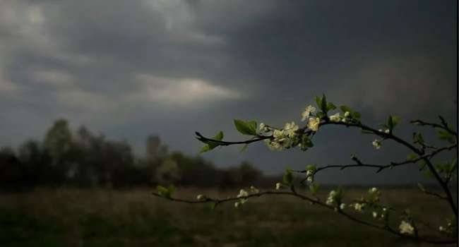  ����������� �������� ����� ��������� ������������ �������� ������� ��������� 