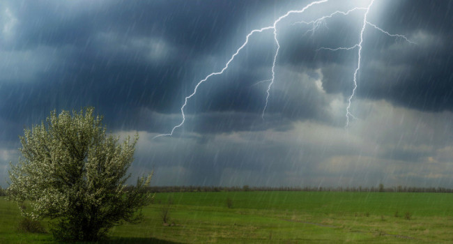  ������ �������� ������ ����� ��������� ������������ �������� 