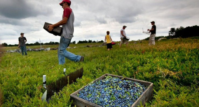 ����: replyua.net