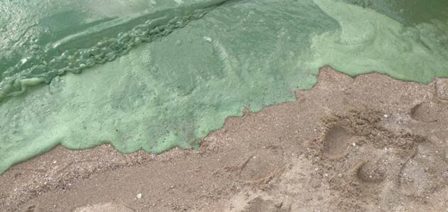 «Из трубы неизвестного назначения»: вода на пляже в Николаеве окрасилась в ярко-зеленый цвет