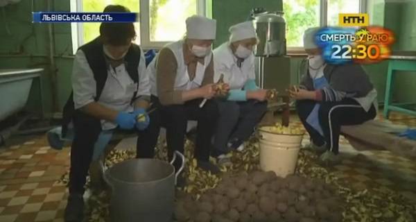 Пока все заняты коронавирусом: 400 пациентов психбольницы во Львовской области оказались на грани голода 
