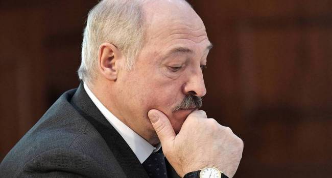 «Знает, сколько поросят рожает свиноматка»: Лукашенко набросился на своего оппонента на предстоящих выборах 