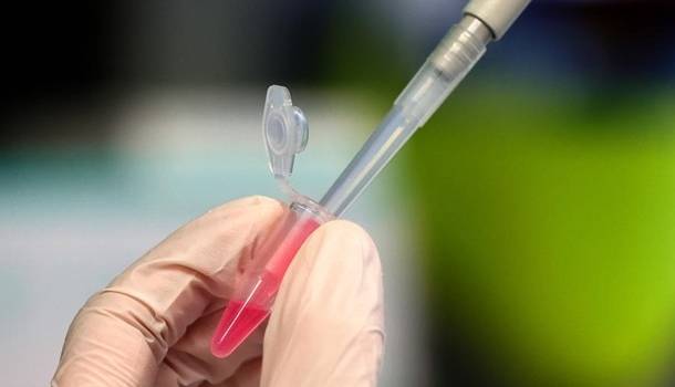 Четыре страны Евросоюза подписали договор на приобретение вакцины от коронавируса