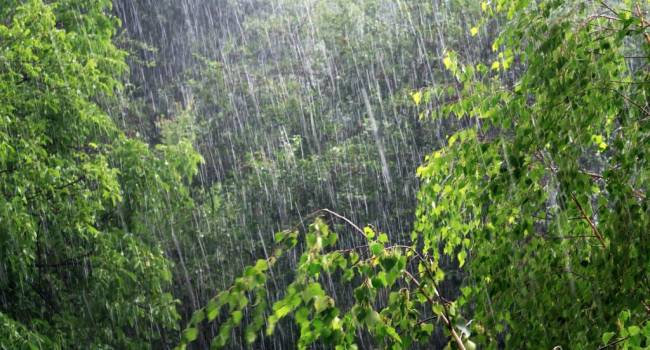 До конца недели сильные дожди с грозами: в Гидрометцентре огорчили прогнозом