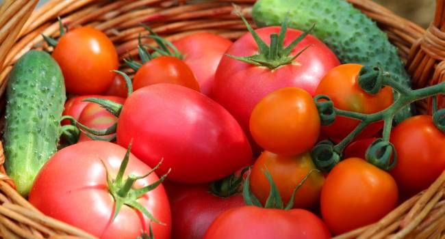 «Это пора запомнить»: эксперты рассказали, почему нельзя сочетать томаты и огурцы в одном блюде 