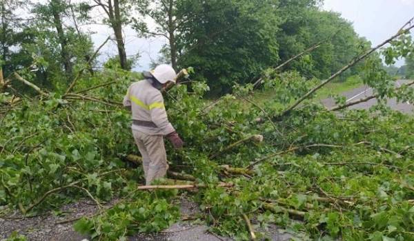 Непогода в Винницкой области: затоплены дома и повалены деревья 