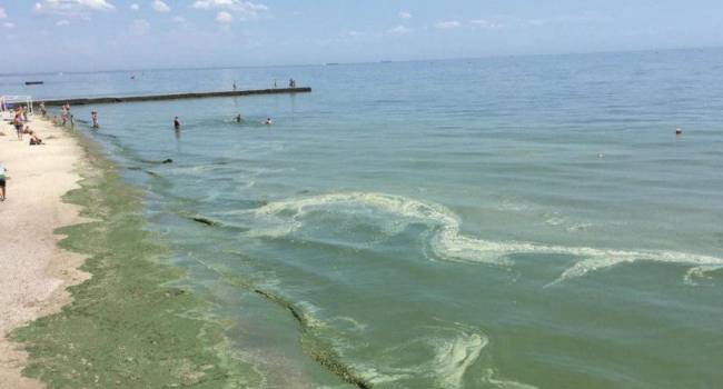 На одесском пляже снова позеленела вода: что произошло