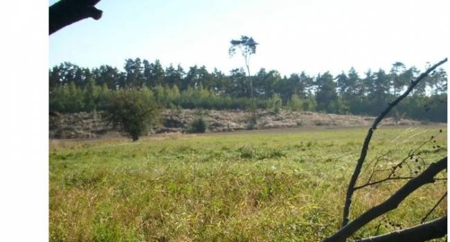 Снимки могут быть подлинными: в Польше зафиксировали полет НЛО