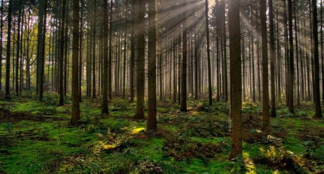  �������� ���������� ������ ������� ������� ����������� ������� ����� 