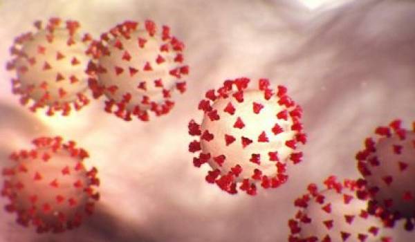  ������� �������� �������� ������ ������� covid-19 