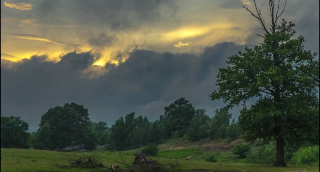  ������ ������� ��������� ��������� ������������ �������� ��������� ��� 