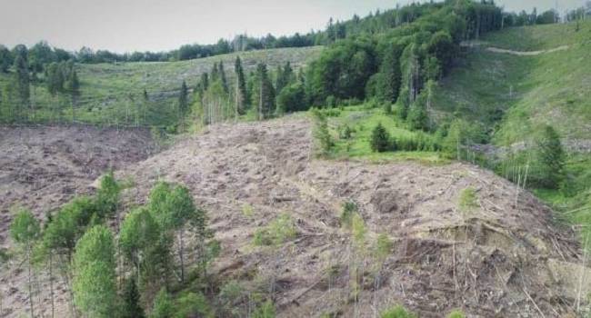  ������ 100 ����� ��� 200 �������� 300 ����� 