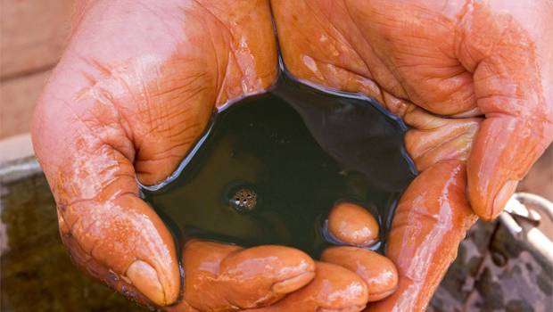  ����� ����� ����� ������ ����� ������� ����� ����� 