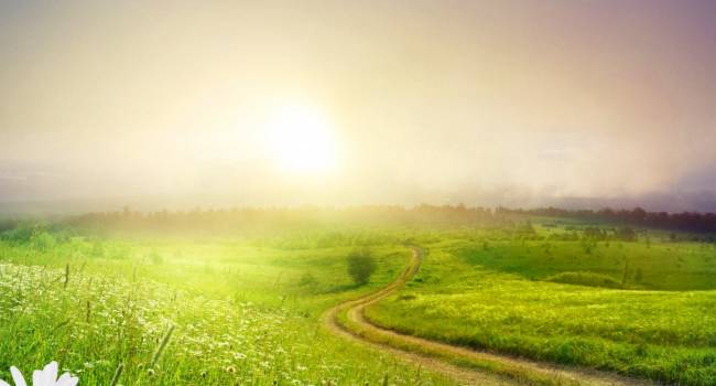  ����� ������� �������� �������� ���� �������������� ������� 