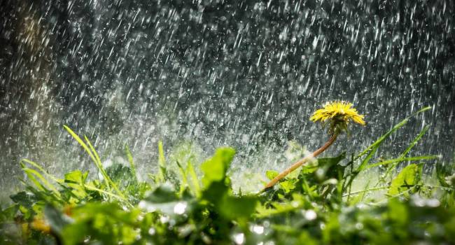  ����������� �������� ������-������ �������� ���������� ������ ���� 