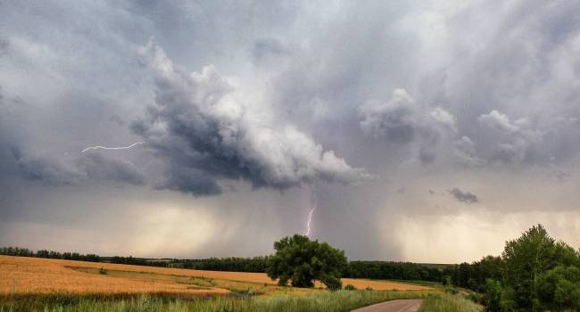  ������ ����� �������� ��������� ������� �������� �������� ���� 