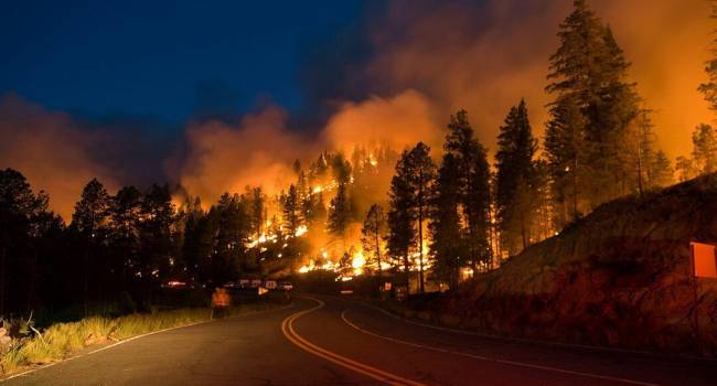  ������� ������� �������� ��������� ������� ��������� ���� 