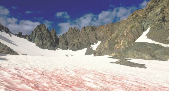 «Последний гвоздь в гроб»: ученые заявили о розовых ледниках в Альпах и спрогнозировали глобальную катастрофу