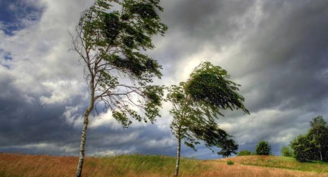 Свежий воздух и порывы ветра: синоптик рассказала о непростой погоде во вторник 