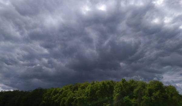  ������� ����� ������� ��������� ������������ �������� 