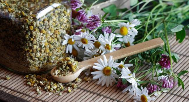  ������ ����� ������ ������� ����������� �������� ��������� 