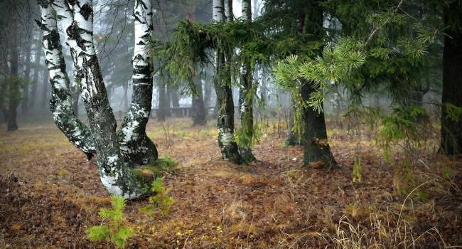  ������ ������� �������� �������� ��������� ������ ������� 