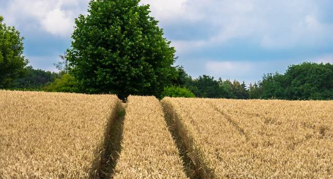  ��������� ����� ����� ������ ������ ������ ���� �������� 