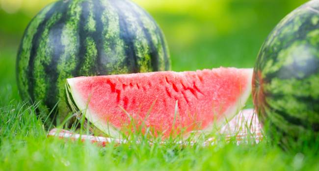  �������� ������� ������� ������� ���������� �������� ������ ������ 