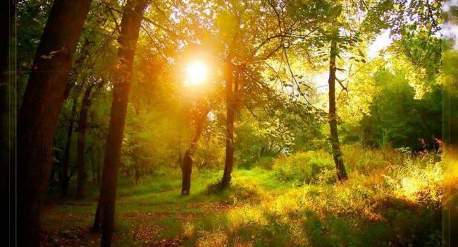  ���������� �������� ������� ��������� ���������� ���� ��������� ��� 