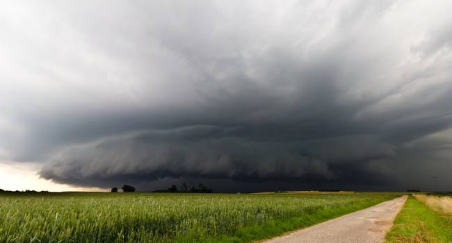  �������� ������ ����������� ����� ��������� ������������ ���� �������� 