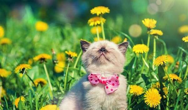  �������� ����������� ����� �������� ������������ ��������� ������ 