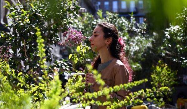  ������� ���� ����� ��������� ���������� ������ 