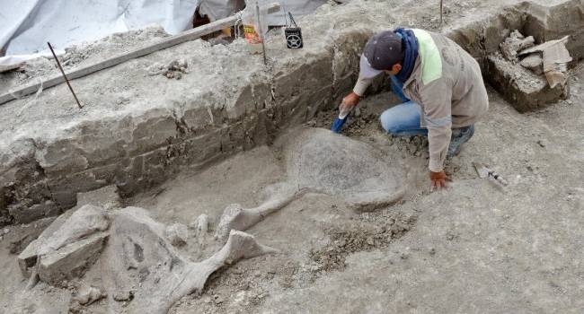  ������� ������ ���������� ������� ��������� ������ 