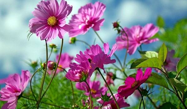  ��������� ������� ����������� ��������� ������ ��������� ������� ������ 