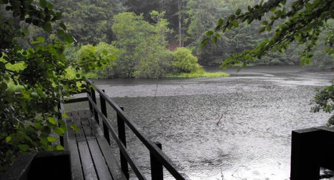  ����� ������ ���� ������ �������� ����� ��������� ���������� 