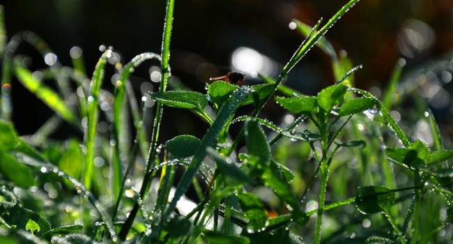  ������� ������ ����������� ��������� ������������ ��������� �������� ���������� 