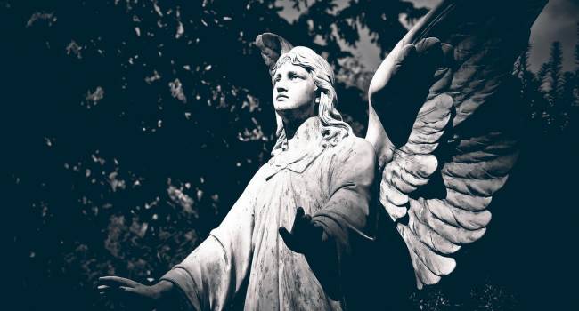  ������ �������� �������� ������ ����������� ������� ������ 