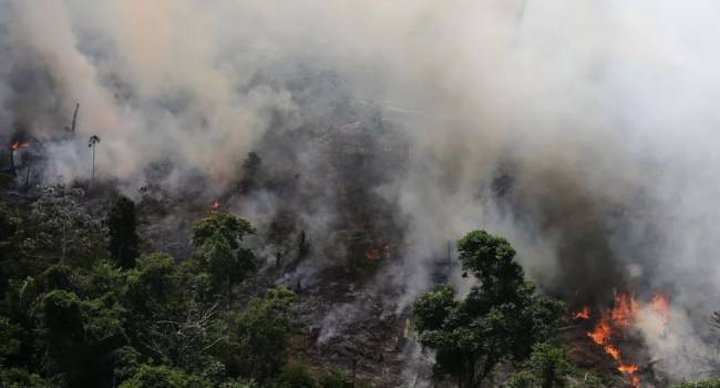 «Только в июле увеличилось на треть»: в Бразилии огонь охватил огромную площадь амазонских лесов