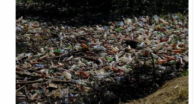  «Почти как в самой грязной реке мира»: на Закарпатье мусор полностью заблокировал реку 